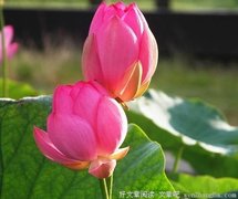别让毒舌毁了爱