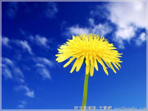活着,就得有料