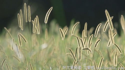 生命中需要感激的人