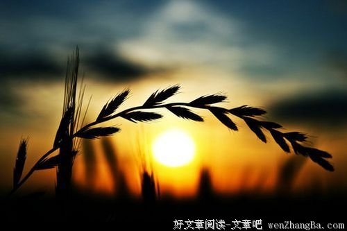 人生没有那么多的公平可言