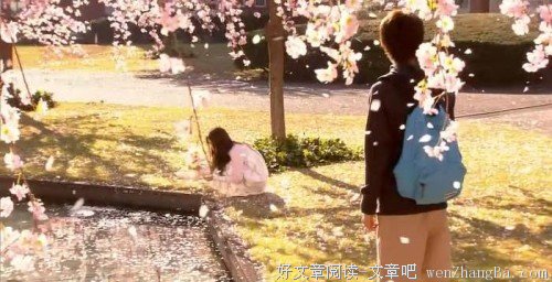 生命的偶然