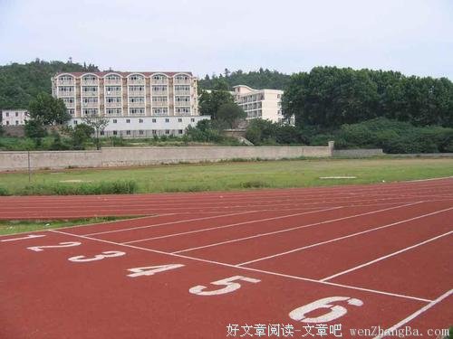 要名校还是要技能