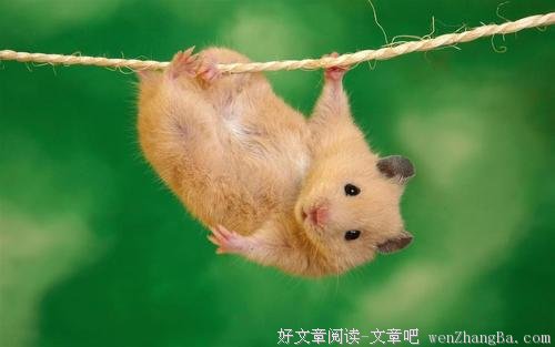 幸福生活靠自己