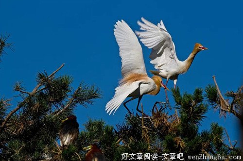 有你，我可以坐拥天下，没你，我的世界依然伟大