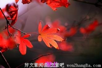 当年木兰女儿心