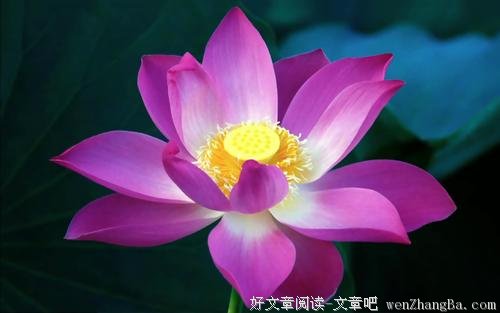大智慧有大条件 