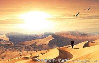 生命是一种渴望感动人间的奔行