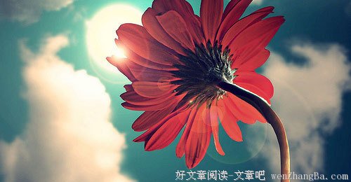 给自己的生命留下一点空隙