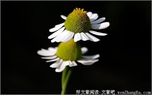 人生最美的状态