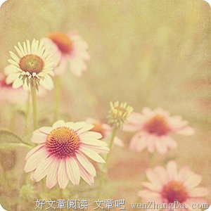 生活就是为了快乐