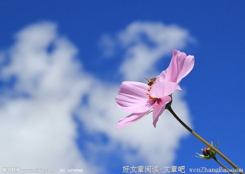 积累坚强，面对阳光