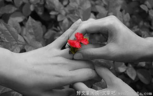 请珍惜彼此身边的人