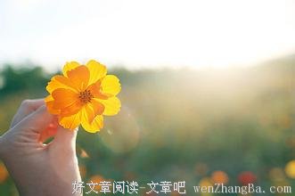 十全十美的一天