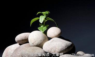 压力与动力