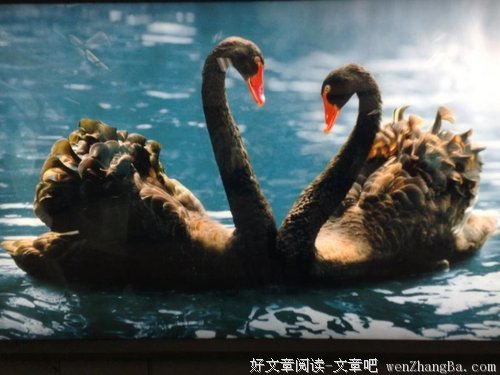 什么样的男女才适合做夫妻