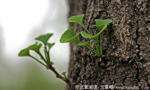 心存美好 幸福相伴