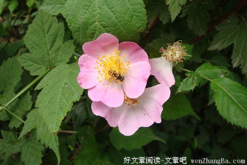 别把情绪当成行动的风向标