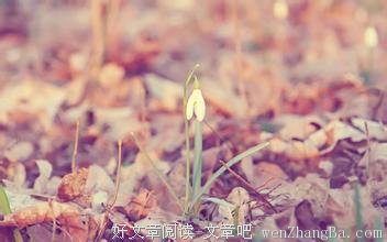 不因一文不名而放弃慈悲与善