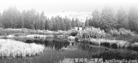 “固执老头”的秘密