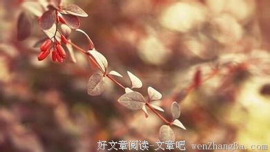 言多必失，做人不能说的四句话