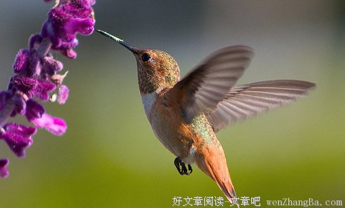 快乐是一种正面的情绪 