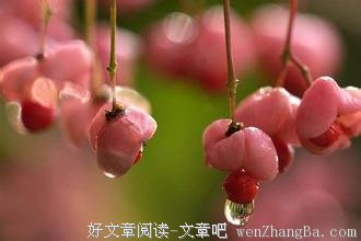 人生的确很累，看你如何品味 