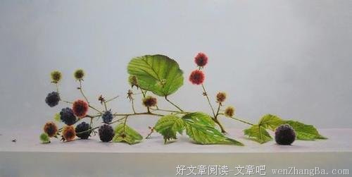 教养的味道