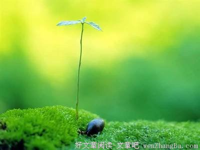 做人的五条黄金法则
