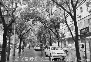 世代为邻