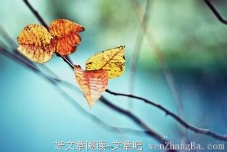 亲爱的，又让你受伤了！