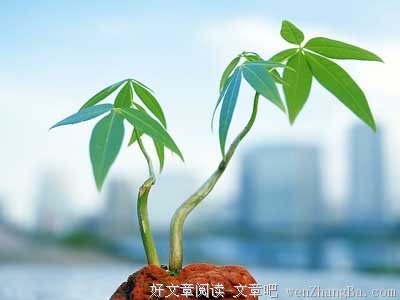 成功源自心态