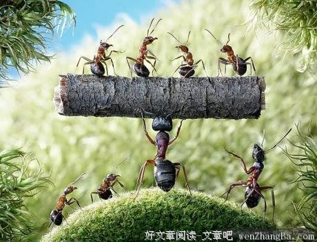 用实际行动拉近与目标的距离