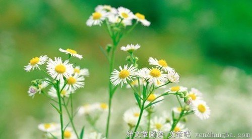 放下所有的事情，让生活回归空白
