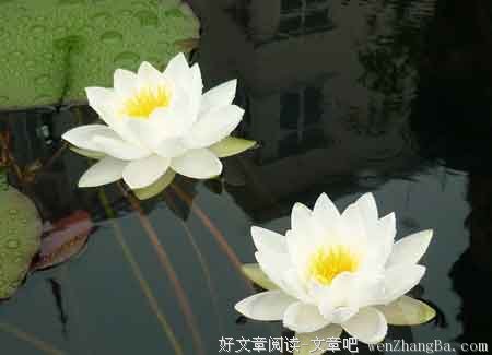 不可将错就错、一错再错 