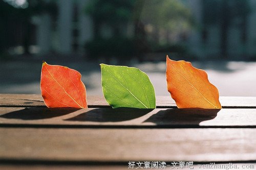 为什么着急反而不容易成功？