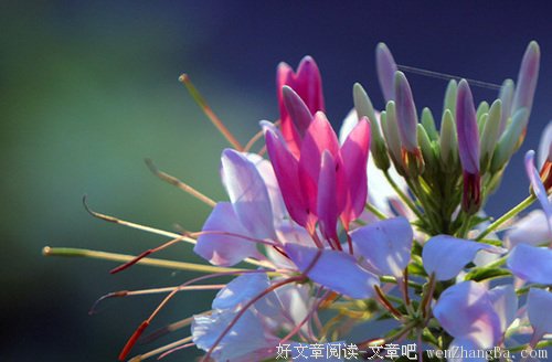 改变不需要马上，而是每天都进步一点点