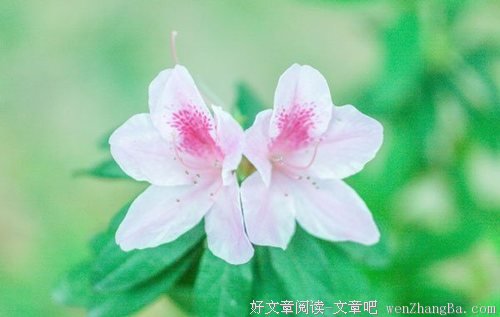 人生不应该让小事绊倒