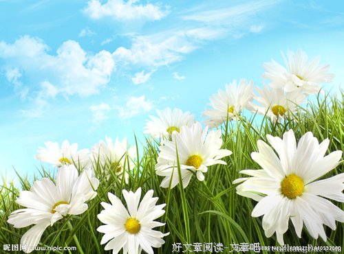 人间情如花
