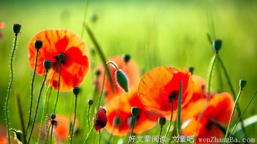 你的人生要如何度过？