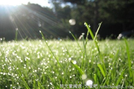 每个人的心里都有两个自己