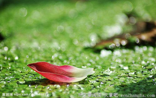 生命有限，别让“不敢”阻挡了你应有的精彩