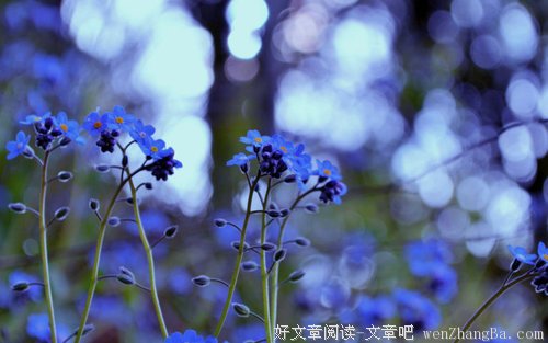 隔着苦痛，问候人生的甜蜜 