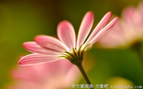 顺其自然是一份心情