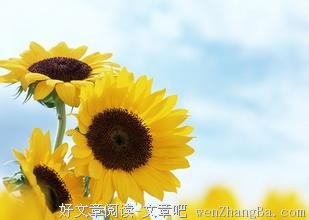 不贪婪少计较，及时感受幸福 