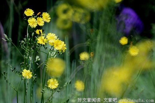 学会忽略，卸下心灵的重负