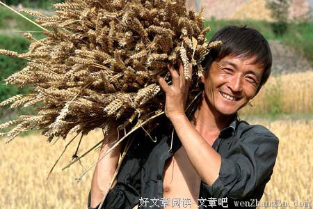 农民的幸福