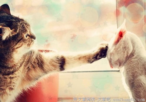 美丽的谎言 