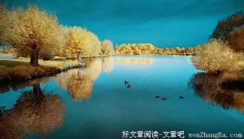 有一种美丽叫淡到极致