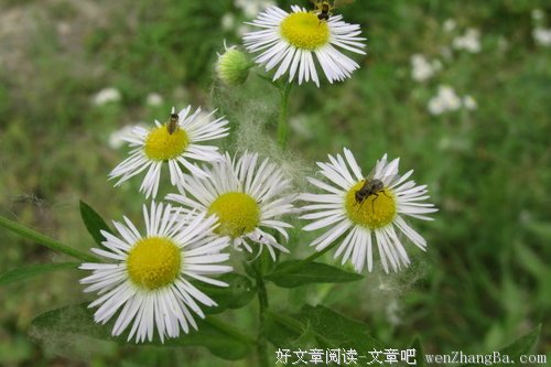 为什么你的努力都是白费