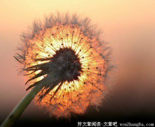 凡是太聪明、太能算计的人，实际上都是很不幸的 